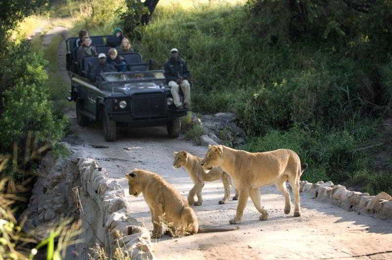 Lion Sands River Lodge Sabi Sand Game Reserve Exterior photo