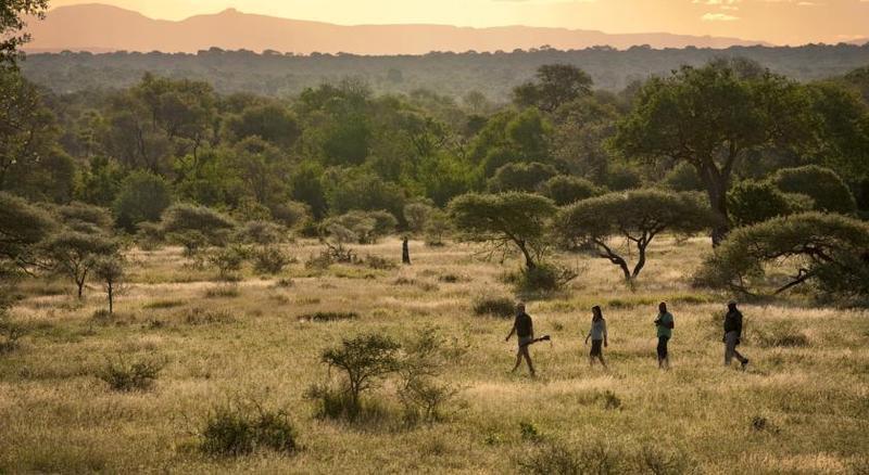 Lion Sands River Lodge Sabi Sand Game Reserve Exterior photo