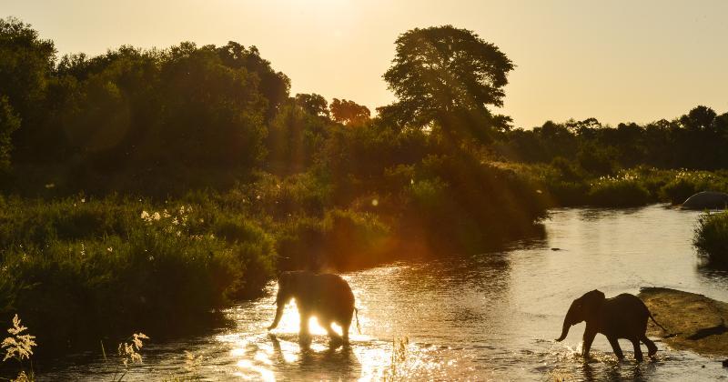 Lion Sands River Lodge Sabi Sand Game Reserve Exterior photo