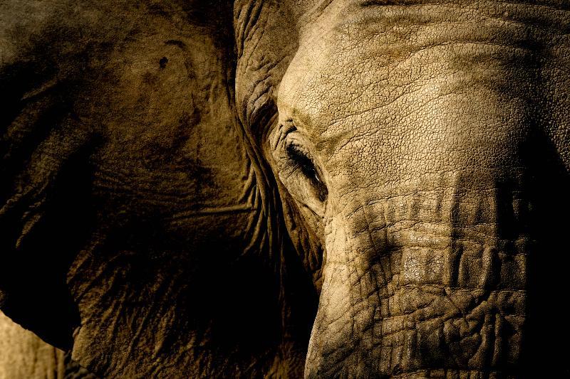 Lion Sands River Lodge Sabi Sand Game Reserve Exterior photo