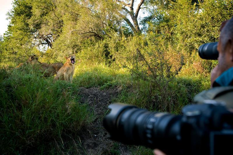 Lion Sands River Lodge Sabi Sand Game Reserve Exterior photo